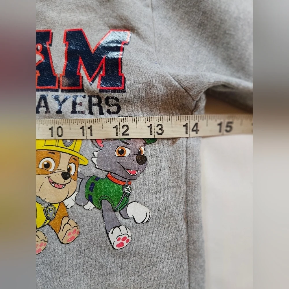 Nickelodeon Boys Gray Team Paw Patrol Long Sleeve Zip Up Hoodie Size 6
